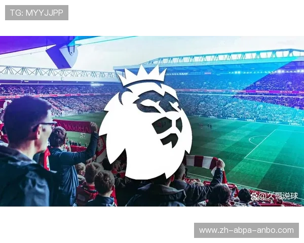 英超有多少球队拥有自己的主场?产权归属大调查 英超有多少球队拥有自己的主场?产权归属大调查