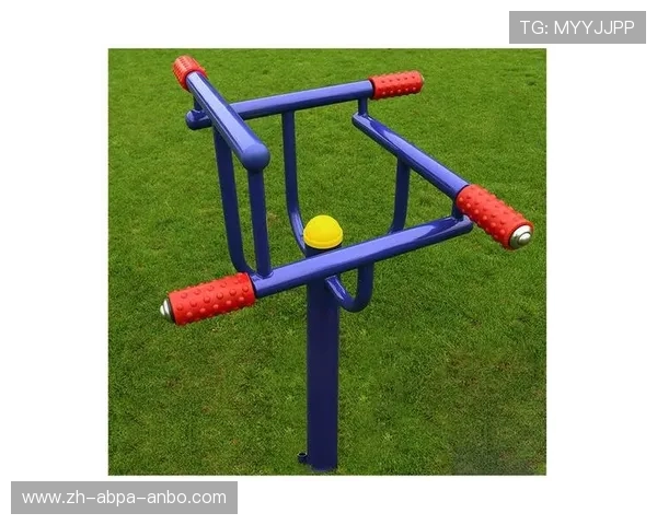 所有健身器材图片大全：展示所有种类的健身器材图片，便于选择与购买