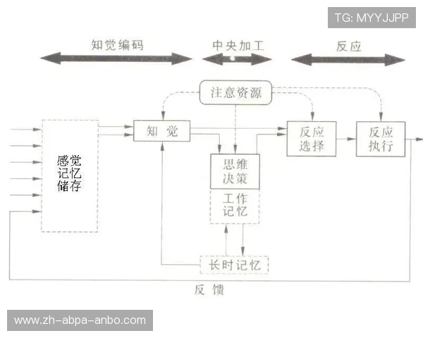 风暴中心的领航者：某意甲球队危机管理的决策与应对策略分析