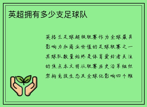 英超拥有多少支足球队