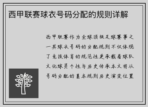 西甲联赛球衣号码分配的规则详解