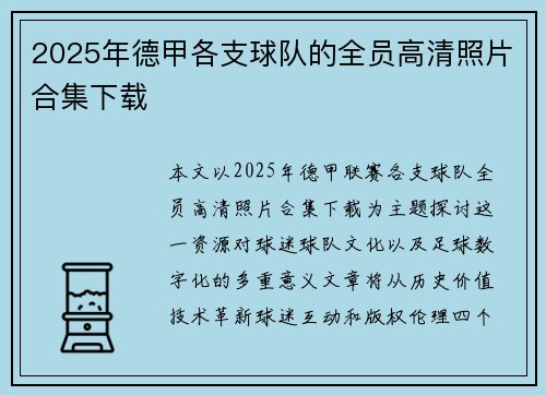 2025年德甲各支球队的全员高清照片合集下载